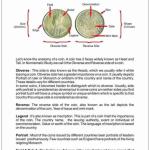 Indian Coinage book by Sainath Reddappa