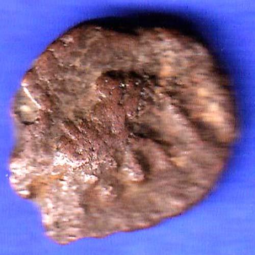 ANCIENT INDIA NAGAS OF PADMAVATI GANPATI NAGA RARE COIN HSK669