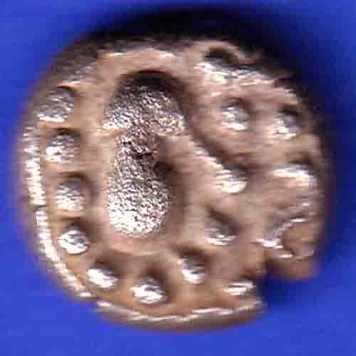 ANCIENT INDIA GADHAYA DYNASTY KING PORTRAIT COIN HSK209