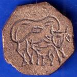 Token: Indore hotel Nafis Cash 10 P ANH161