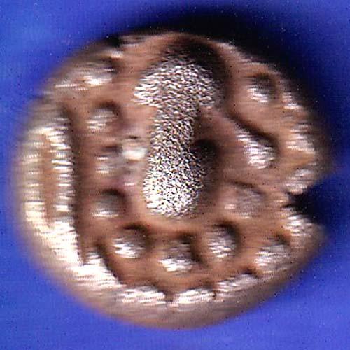 ANCIENT INDIA GADHAYA DYNASTY KING PORTRAIT COIN SK564