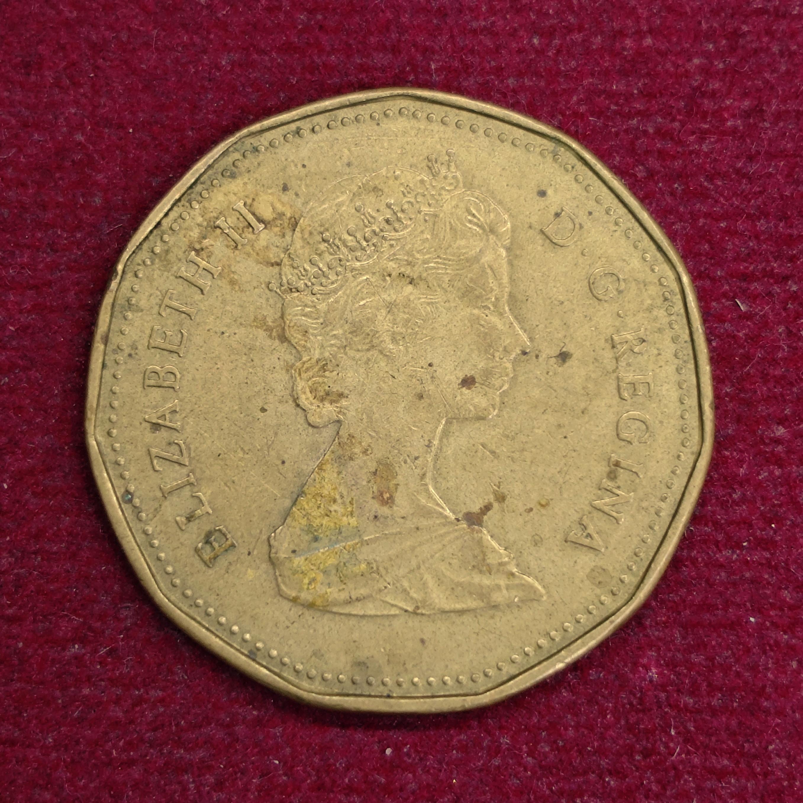 Canada 1 Dollar - Elizabeth II 1988 Coin