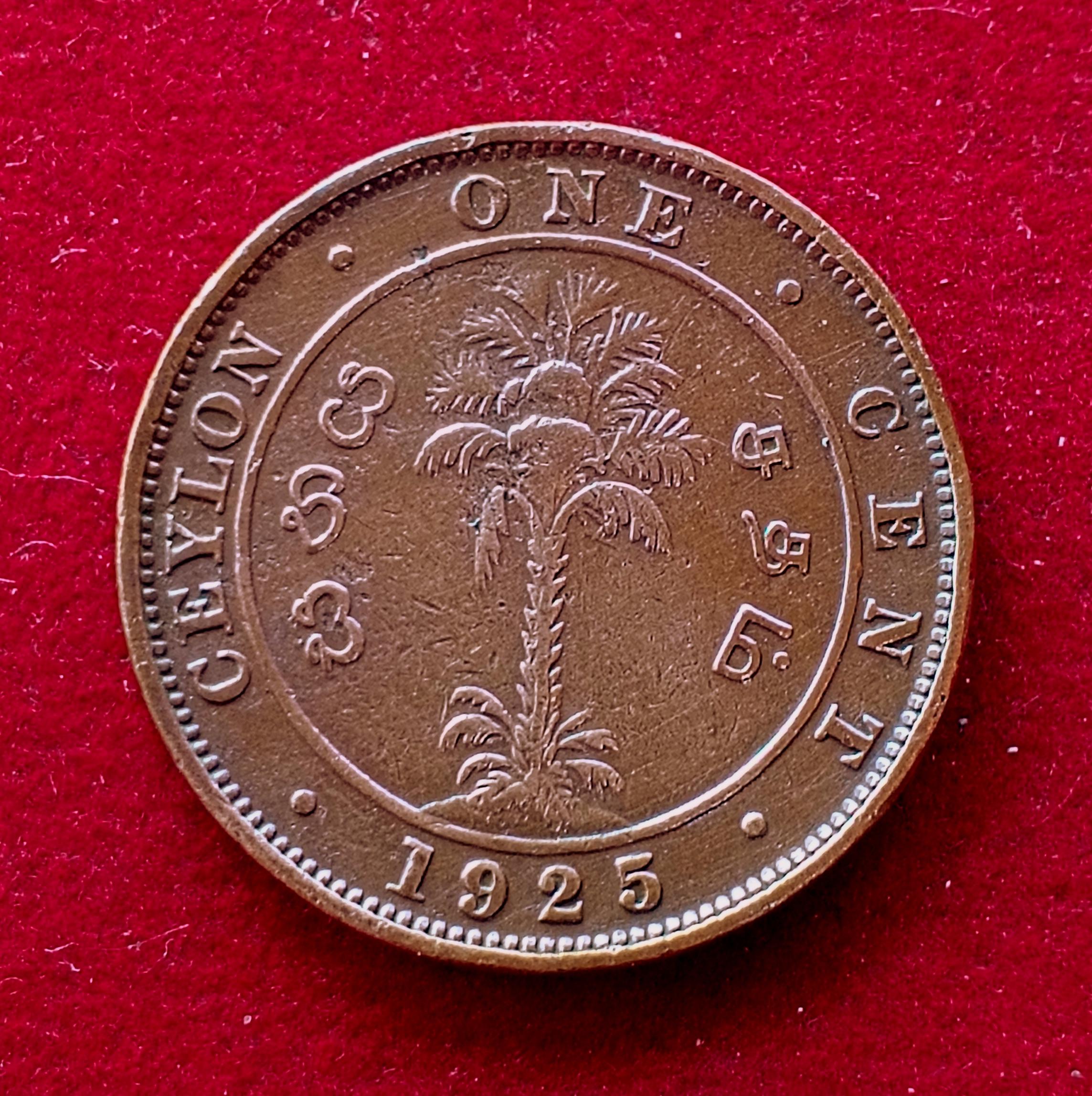 Ceylon (Sri Lanka) 1 Cent George VI 1925 Coin