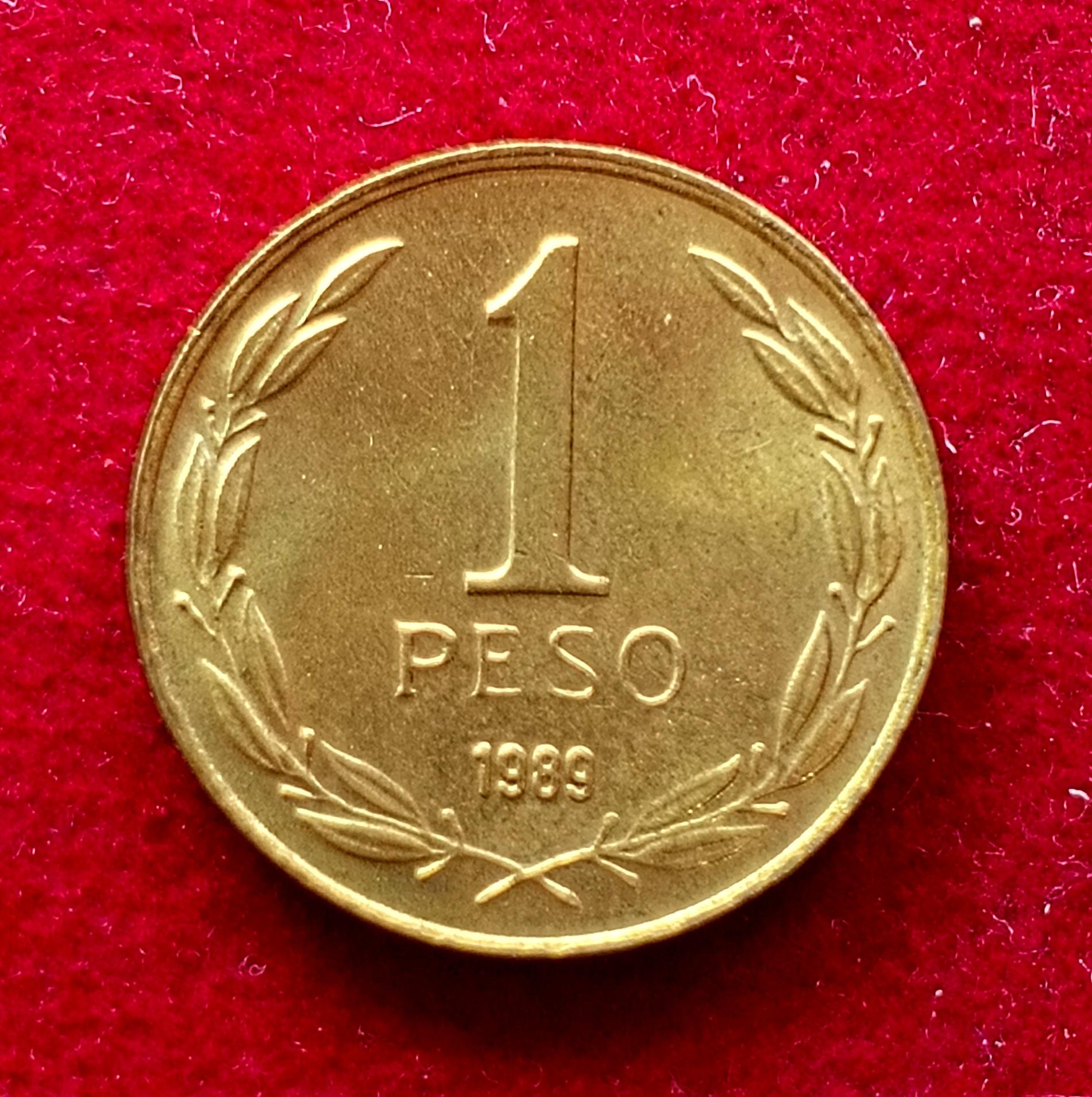 Chile 1 Peso 1989 Coin