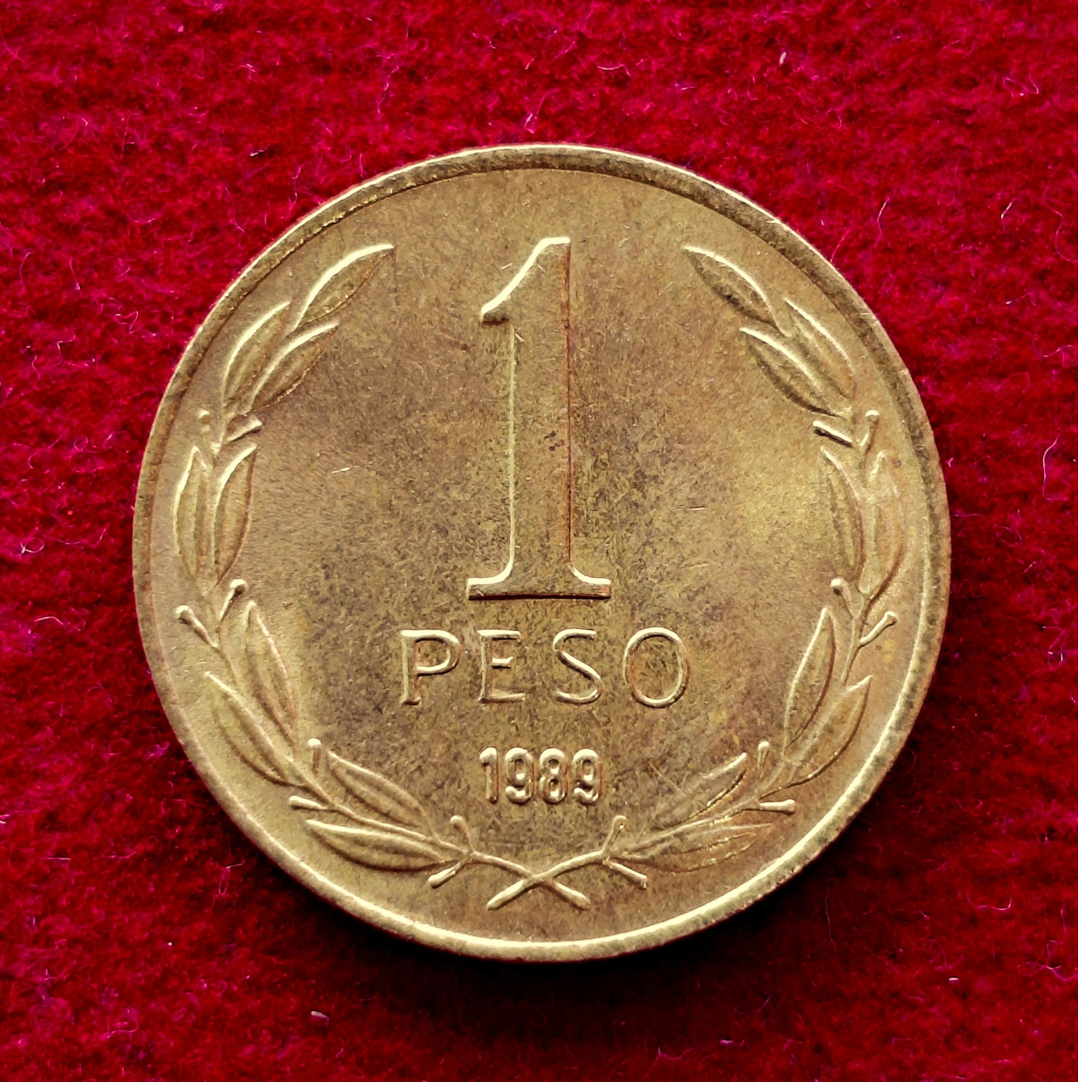 Chile 1 Peso 1989 Coin
