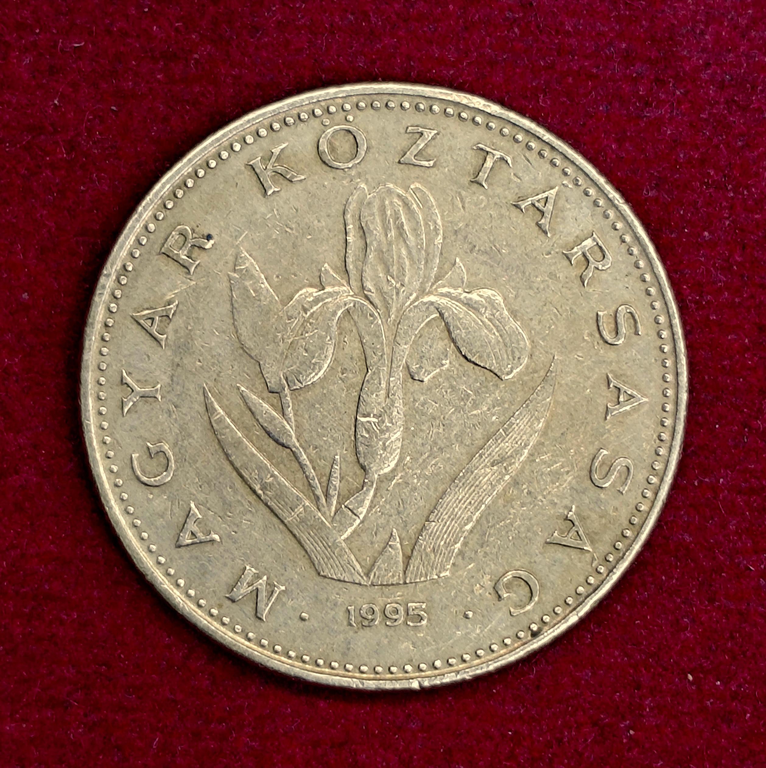 Hungary 20 Forint 1995 Coin
