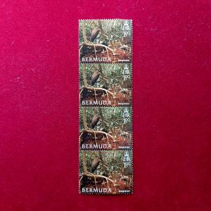 Stamp - Bermuda Mangroves 2005 (Block Of 4)