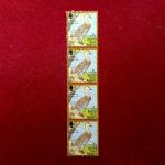 Stamps 2002 British Virgin Islands - West Indian Whistling Duck Dendrocygna arborea (Block Of 4)