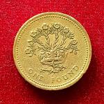 UK 1 Pound - Elizabeth II - Northern Irish Flax Coin