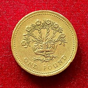 UK 1 Pound - Elizabeth II - Northern Irish Flax Coin