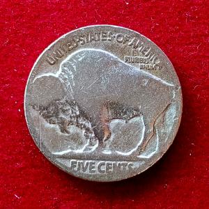 United States (USA) 5 Cents Buffalo Nickel Coin