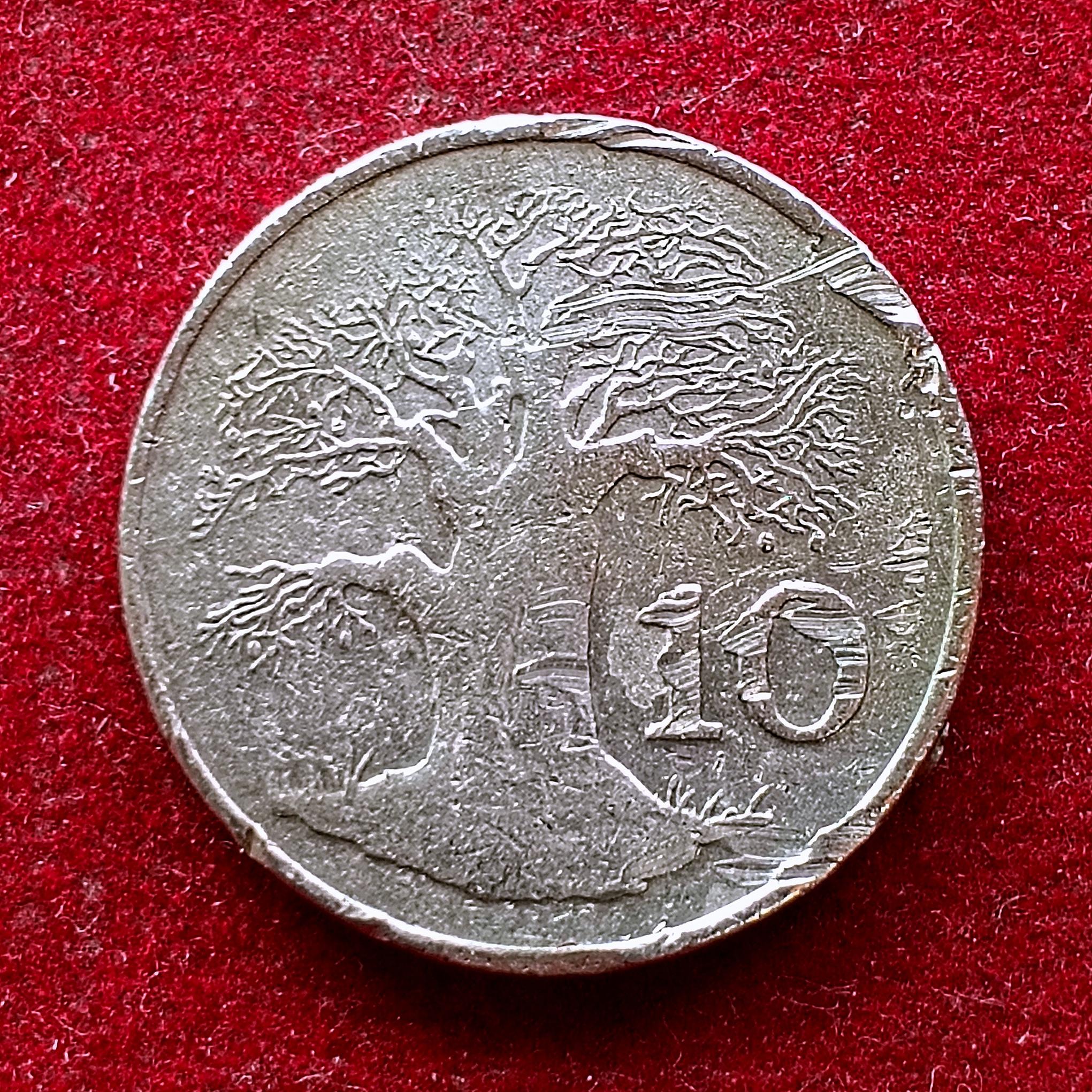 Zimbabwe 10 Cents 1991 Coin